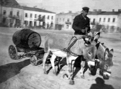 Woziwoda przed wojną