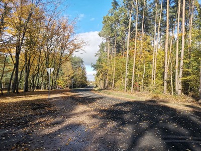 gluchow-podole