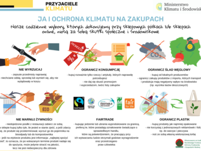 infografika4 