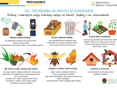 infografika2

