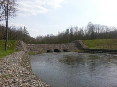 Tama w Osówku