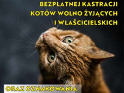 na zdjęciu ogłoszenie o akcji kastracji i znakowania zwierząt w Gminie Tychowo