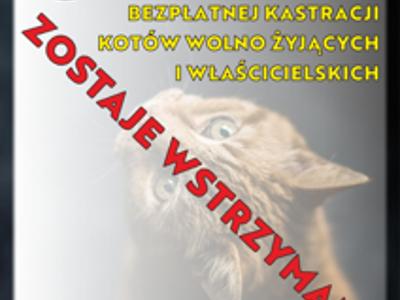 plakat informujący o wstrzymaniu akcji sterylizacji/kastracji kotów w Gminie Tychowo