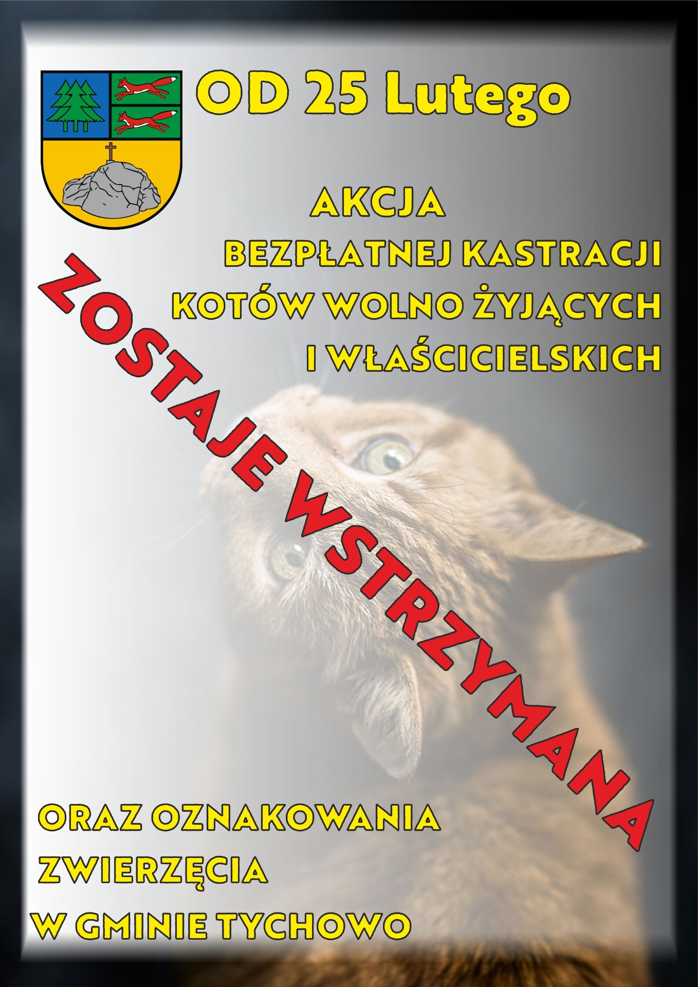 plakat informujący o wstrzymaniu akcji sterylizacji/kastracji kotów w Gminie Tychowo