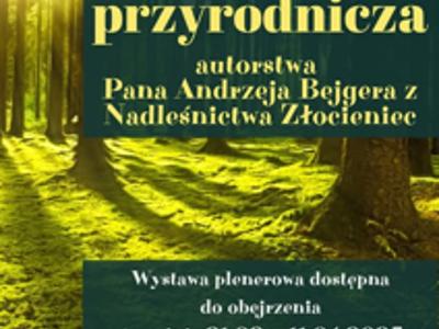 Plenerowa wystawa przyrodnicza . W dniach 31.03.2025 r. – 11.04.2025r. na terenie, przed budynkiem GOK w Tychowie dostępna będzie do obejrzenia „Wystawa przyrodnicza autorstwa Pana Andrzeja Bejgera z Nadleśnictwa Złocieniec”