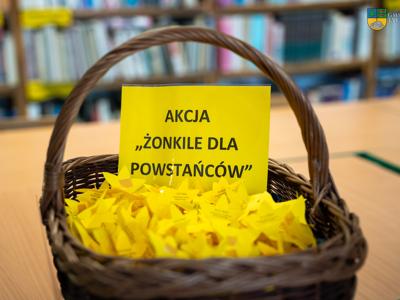 Akcja żonkile - żonkile koloru żółtego w koszyczku