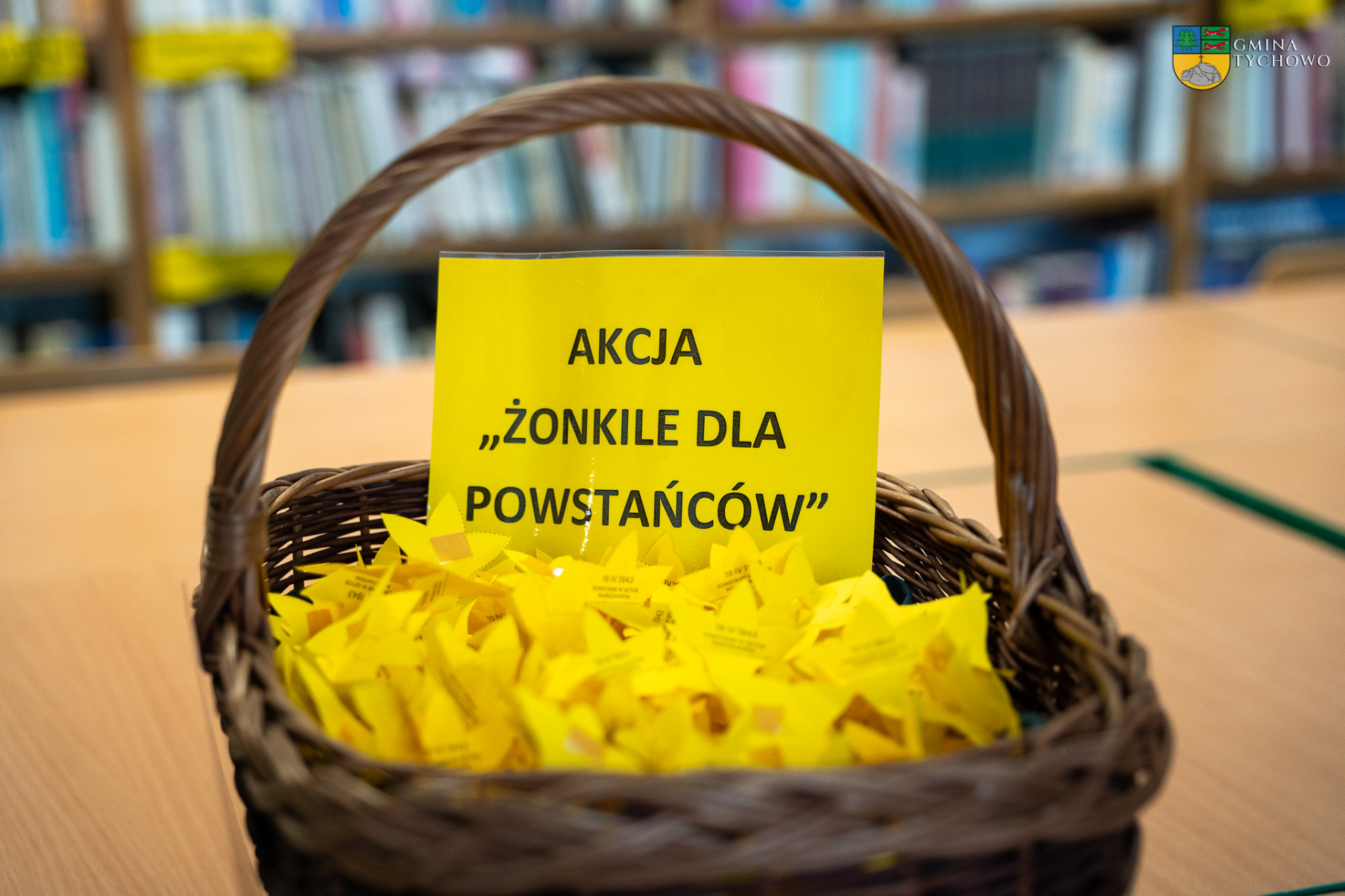 Akcja żonkile - żonkile koloru żółtego w koszyczku