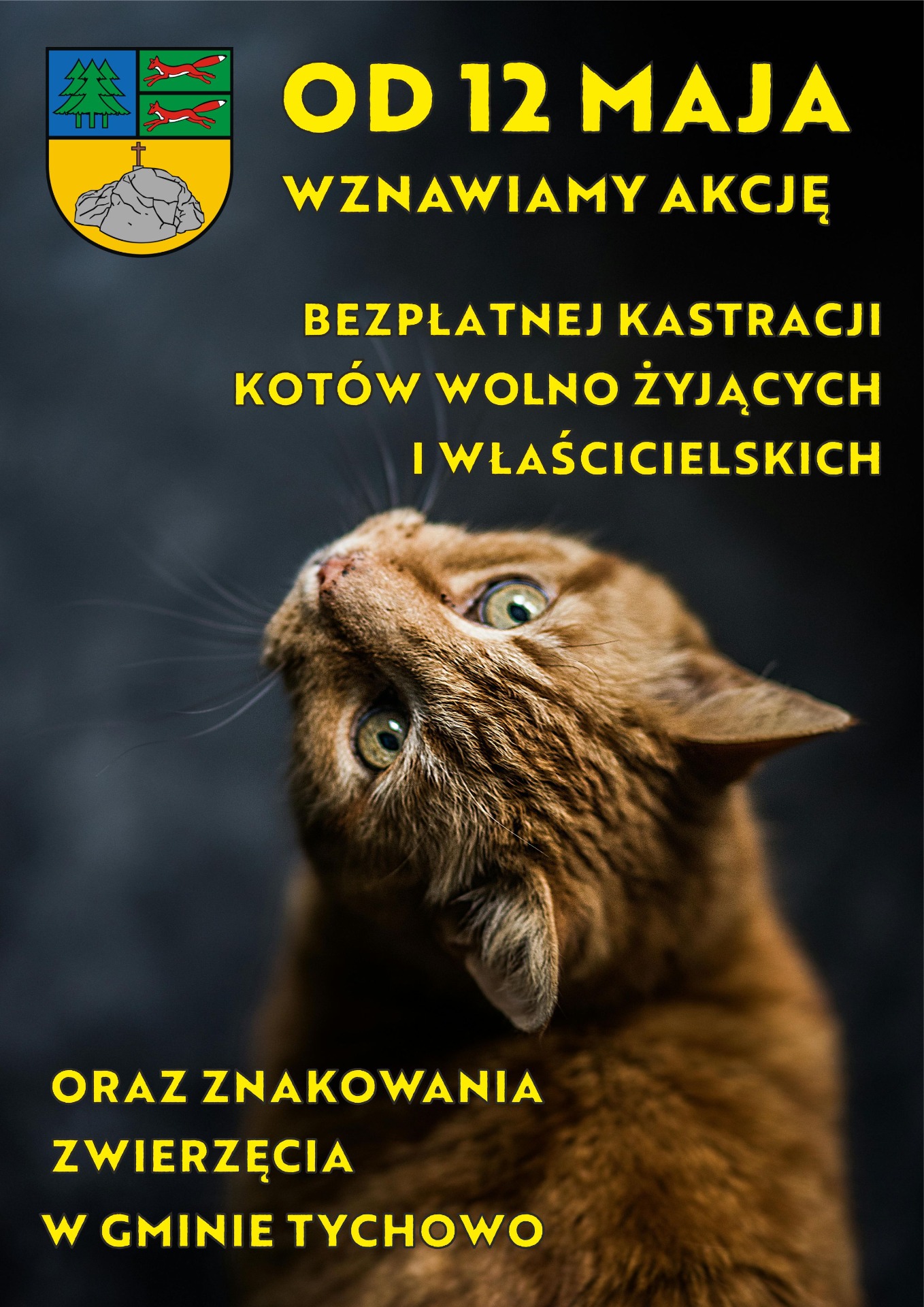 na zdjęciu kot z informacją o wznowieniu akcji sterylizacji/kastracji kotów na terenie Gminy Tychowo.