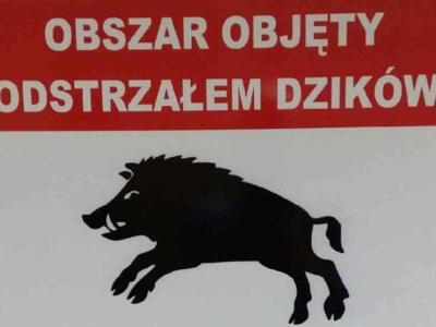 na zdjęciu informacja o odstrzale sanitarnym dzików