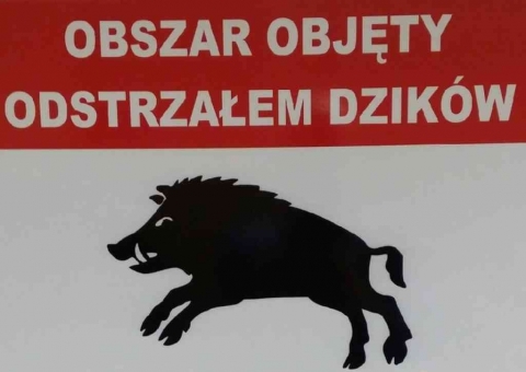 na zdjęciu informacja o odstrzale sanitarnym dzików