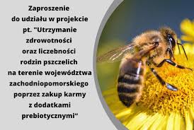 na zdjęciu zaproszenie do udziału w projekcie ,, Utrzymanie zdrowotności oraz liczebności rodzin pszczelich na terenie województwa zachodniopomorskiego poprzez zakup karmy z dodatkami prebiotycznymi”