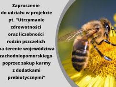 na zdjęciu zaproszenie do udziału w projekcie ,, Utrzymanie zdrowotności oraz liczebności rodzin pszczelich na terenie województwa zachodniopomorskiego poprzez zakup karmy z dodatkami prebiotycznymi”