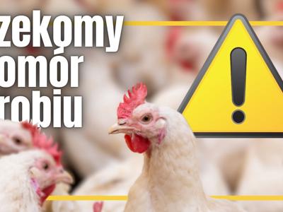 na zdjęciu informacja o rzekomym pomorze drobiu