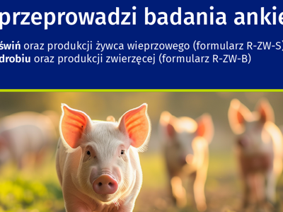 Badanie pogłowia świń oraz produkcji żywca wieprzowego (R-ZW-S) i Badanie pogłowia drobiu oraz produkcji zwierzęcej