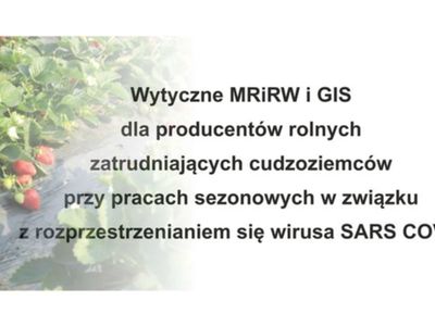 Wytyczne  dla producentów rolnych