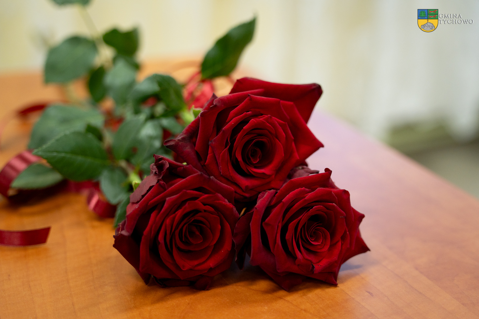 Na zdjęciu czerowne róże.