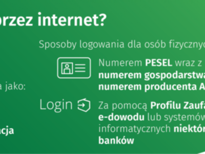 PSR 2020 - jak spisać się przez Internet