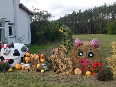 Sołectwo Warnino