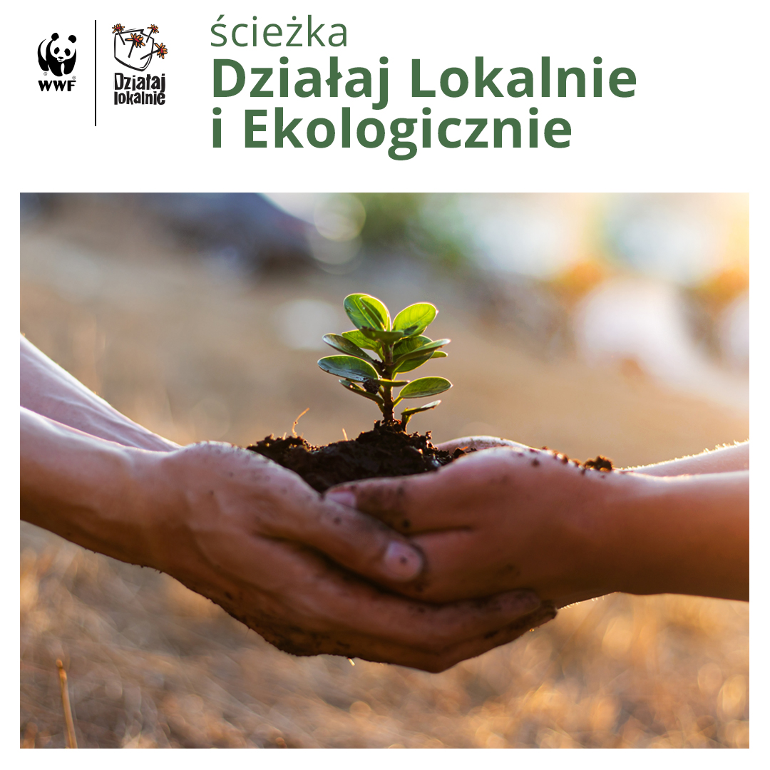 plakat konkursu Działaj lokalnie i ekologicznie
