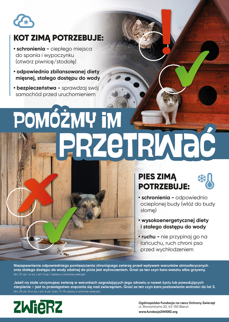 Plakat. Pomóżmy im przetrwać zimę