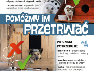 Plakat. Pomóżmy im przetrwać zimę