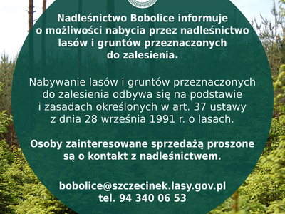Ogłoszenie