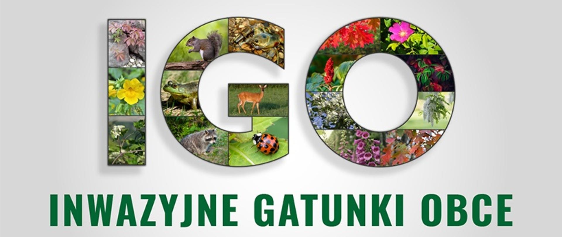 Inwazyjne Gatunki Obce - zielony napis