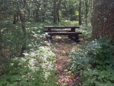 Zdjęcie wykonano podczas odnowienia przystani kajakowej w m. Osówko w Gminie Tychowo.