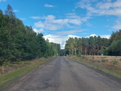 Fragment drogi za Słoninem