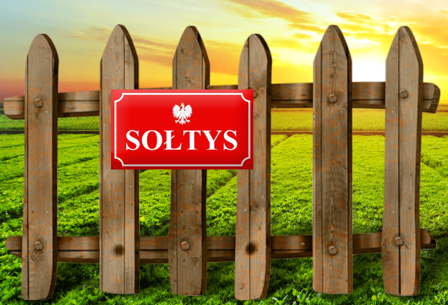 SOŁTYS