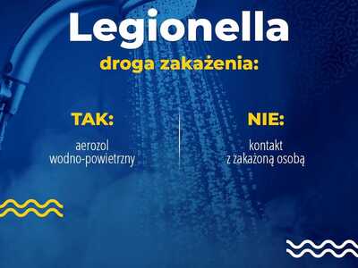 Legionella Jak zmniejszyć ryzyko zakażenia