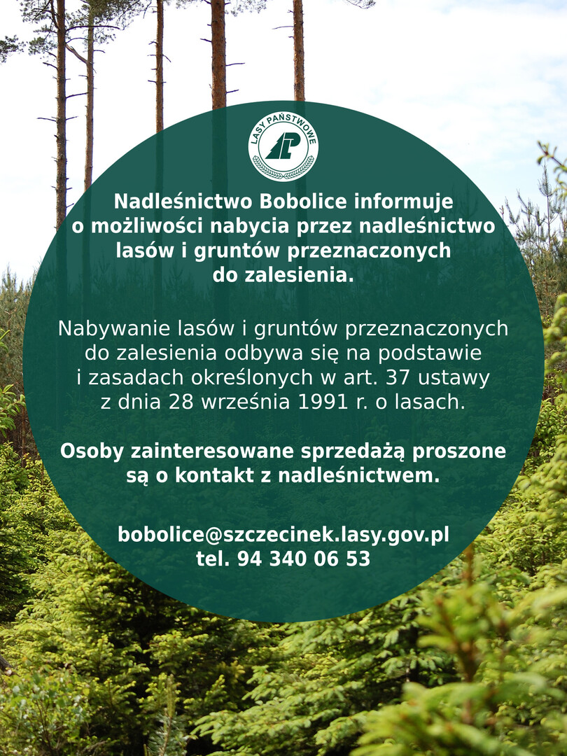 
zakup lasów i gruntów przeznaczonych do zalesienia
