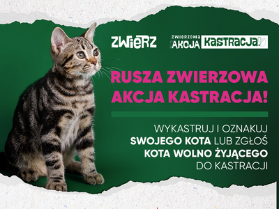 plakat promujący akcję kastracji kotów wolnożyjących i właścicielskich w Gminie Tychowo w 2024 roku.