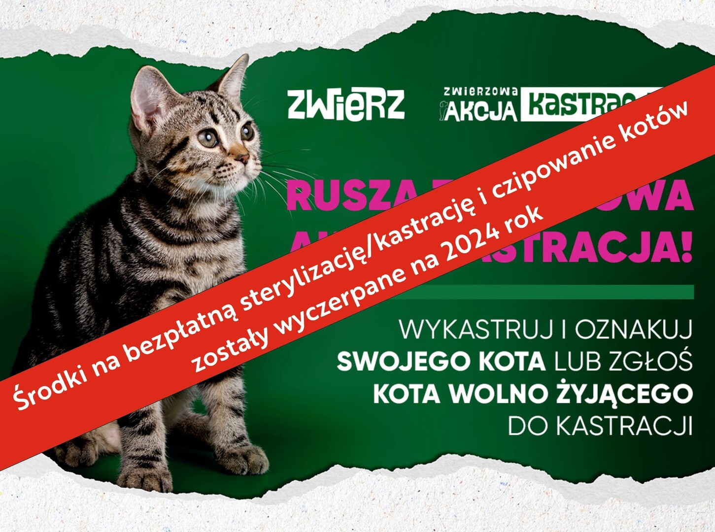 plakat informujący o wyczerpaniu środków na kastracje/sterylizację kotów w Gminie Tychowo w 2024 roku