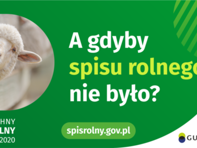 Gdyby nie było spisu