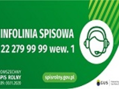 Infolinia Spisowa