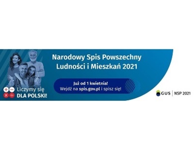 Logo NSP