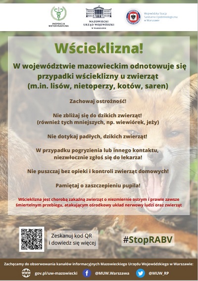 Wścieklizna