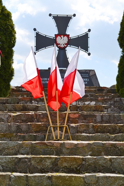 Zdjęcie 8