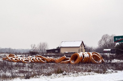 Zdjęcie 1
