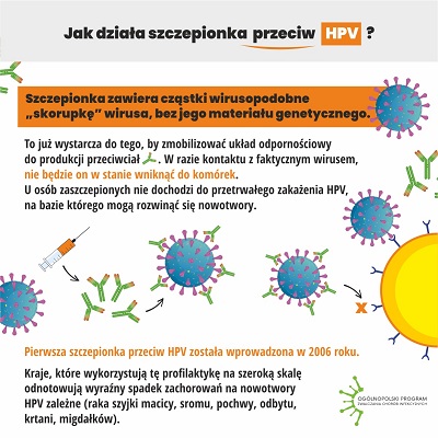 Zdjęcie 6