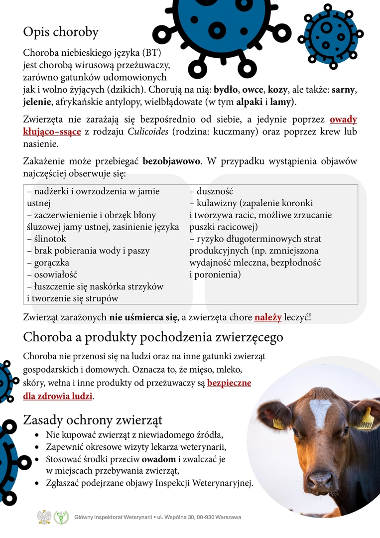 ulotka_informacyjna_bt_page0002.jpg [2480x3509]