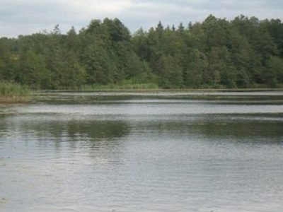 Jezioro Radzynek