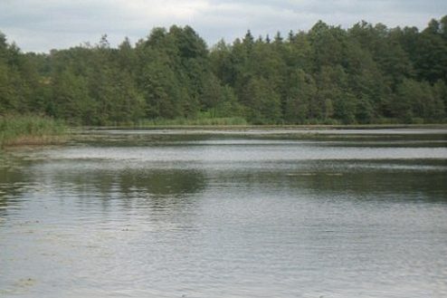 Jezioro Radzynek