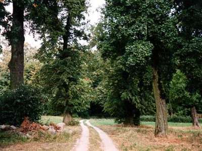 Zabytkowy park dworski