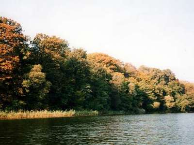 Zabytkowy park w Gulbinach (od strony Jeziora Dłuskiego)