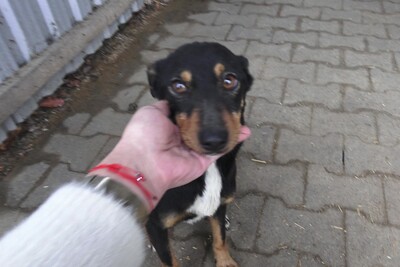 Zdjęcie