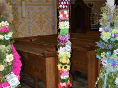 Wyjątkowe palmy z gminy Brzuze