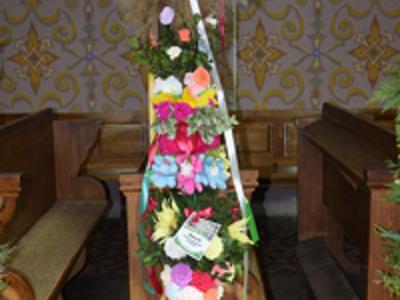 Wyjątkowe palmy z gminy Brzuze