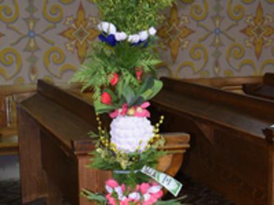 Wyjątkowe palmy z gminy Brzuze